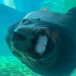 Meet your Posher, Jaime